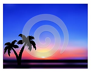 Sunrise or sunset. Tropical abstract landscape, silhouettes of palm trees. Vector illustration.